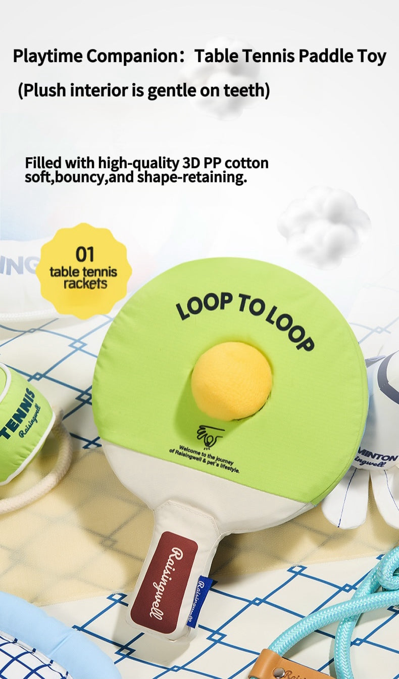 Table Tennis Racket Enrichment Toy