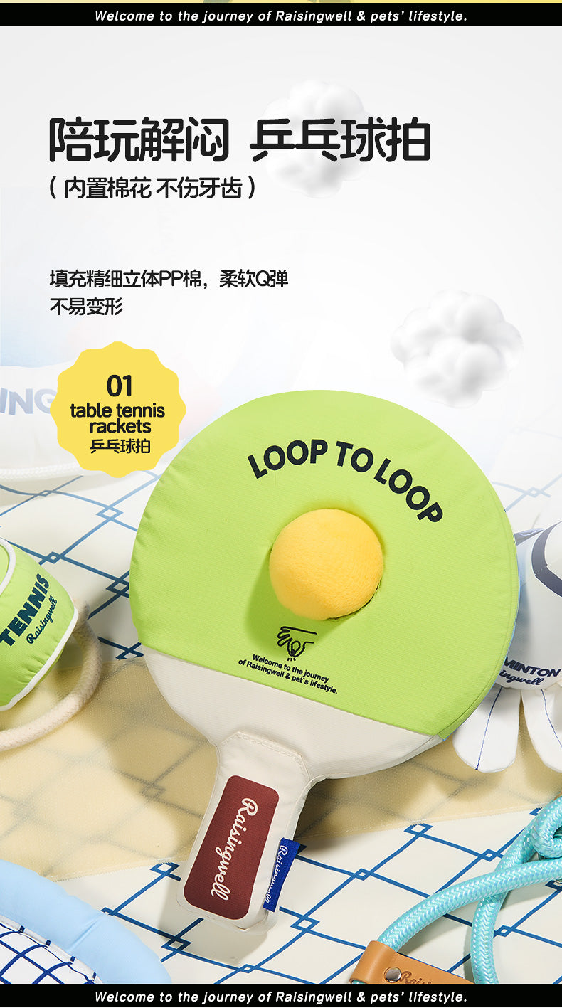 Table Tennis Racket Enrichment Toy